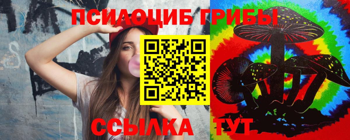 Галлюциногенные грибы Psilocybine cubensis Кандалакша