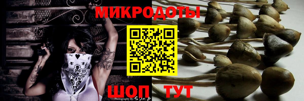 сколько стоит  Галлюциногенные грибы ЛСД  Вход с VPN  Кандалакша 